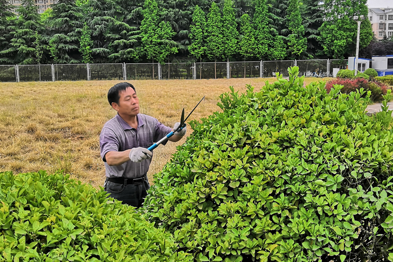 用汗水梳洗着园区的容貌